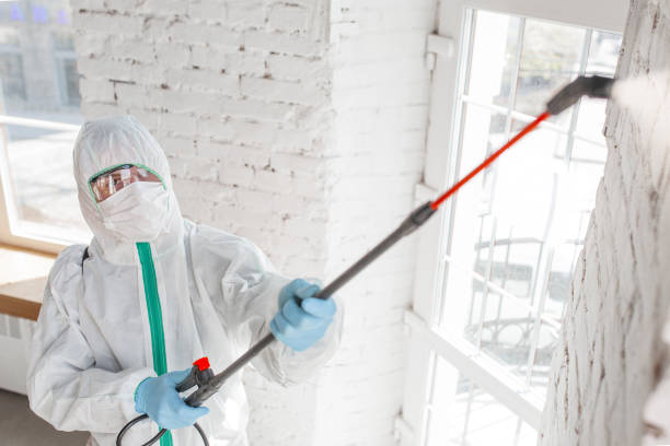Best Forensic Mold Investigation  in Lakes East, CT