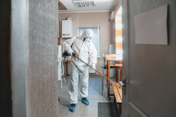 Best Air Quality Testing for Mold Spores  in Lakes East, CT