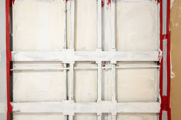 Best Black Mold Removal  in Lakes East, CT